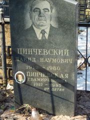 Пинчевский Давид Наумович, Москва, Востряковское кладбище